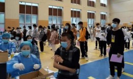 石家庄桃园最新爆料信息,揭秘项目最新进展与亮点