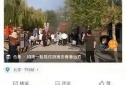 798王子彦最新爆料,娱乐圈背后的惊人真相