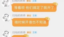张栋网易爆料最新消息,揭秘娱乐圈最新动态
