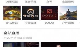 最新爆料见闻视频播放,见闻视频播放背后的惊人真相
